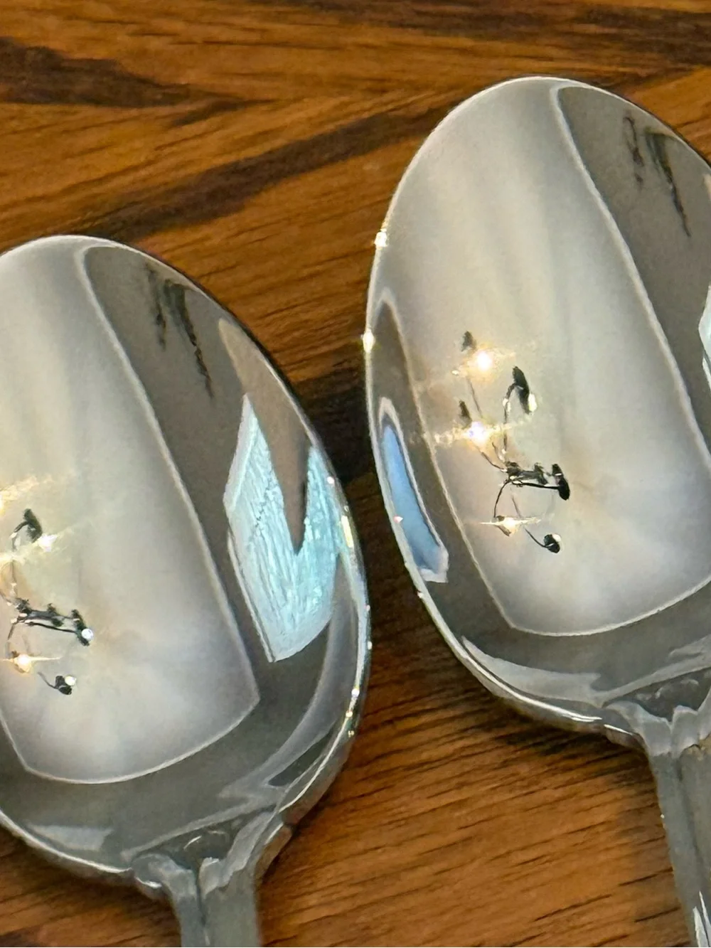 Classic Silver Plated Serving Spoons - Elegant Scrolled Handle